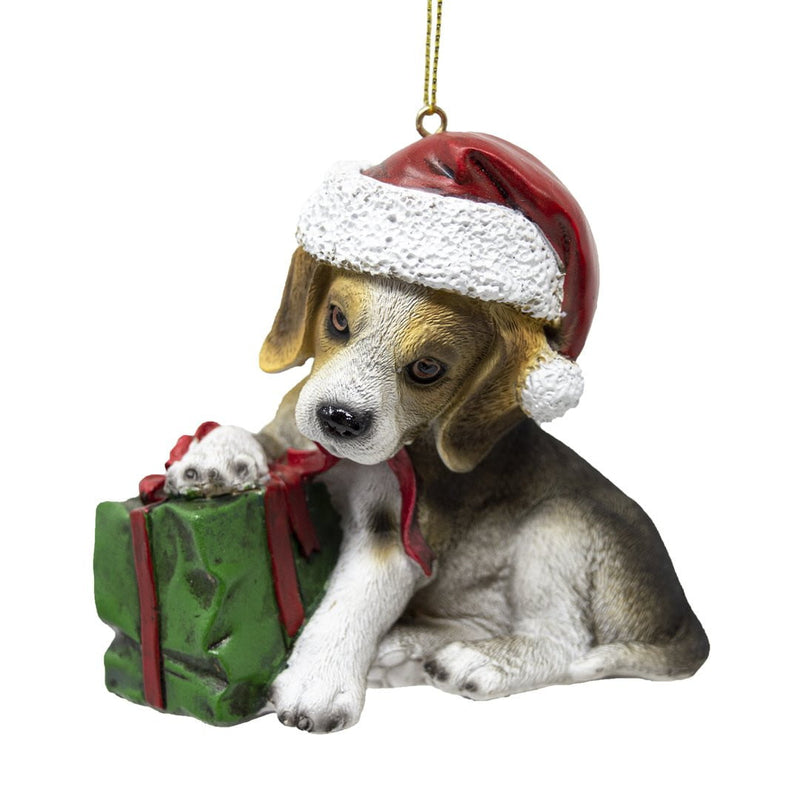 Pets, Cats and Dogs - The Christmas Imaginarium