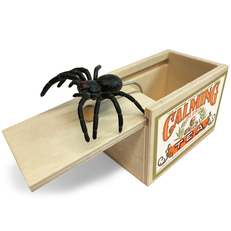 Spider Surprise Box Stocking Filler