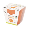 Children's Grow Your Own Pumpkins Growing Kit