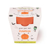 Children's Grow Your Own Pumpkins Growing Kit