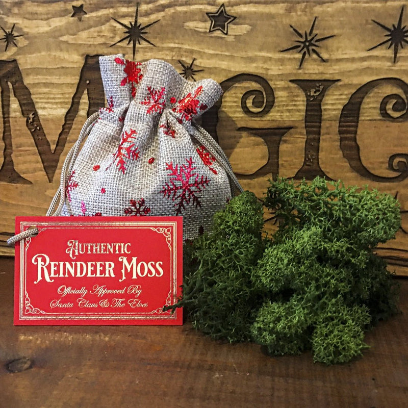 Authentic Reindeer Moss / Food For Christmas Eve - The Christmas Imaginarium